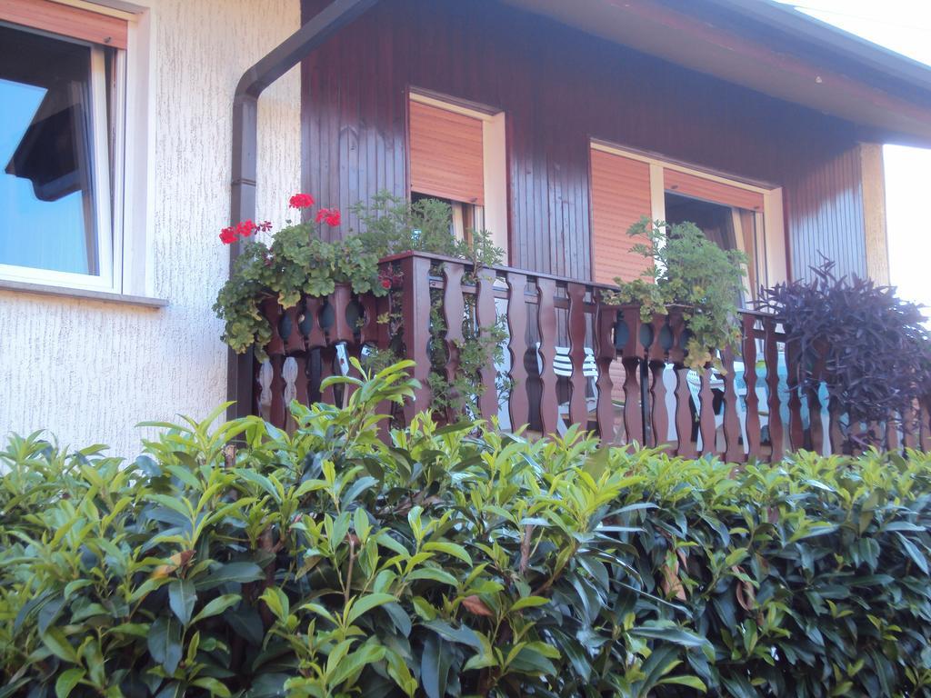 Apartment Maruska โทลมิน ภายนอก รูปภาพ